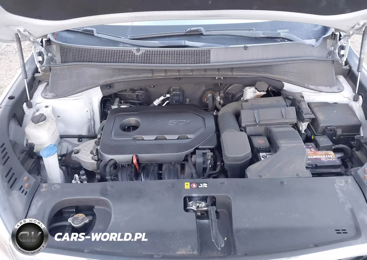 2019 Kia Sorento 2.4L Lx VIN:5XYPGDA3XKG552645 - 10