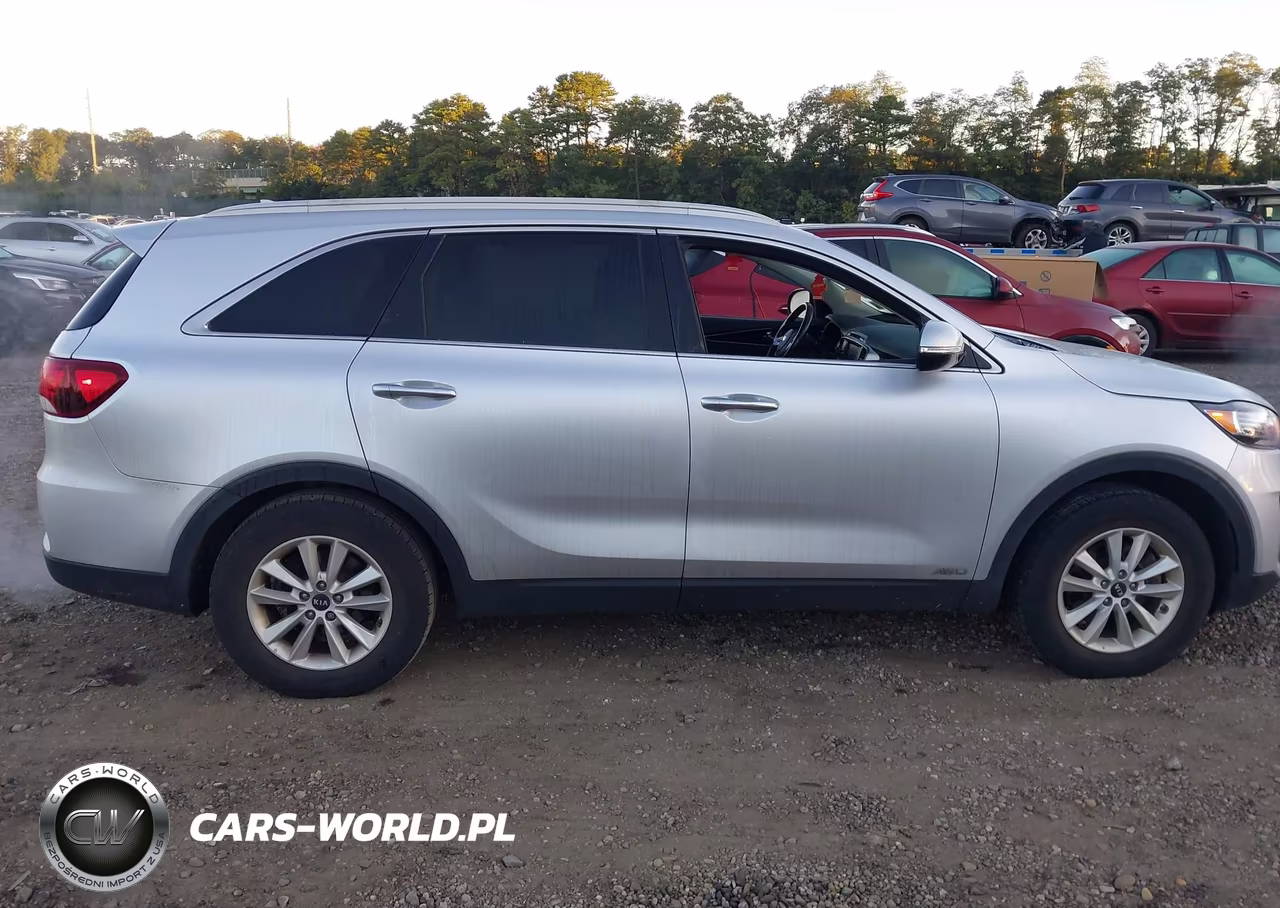 2019 Kia Sorento 2.4L Lx VIN:5XYPGDA3XKG552645 - 13