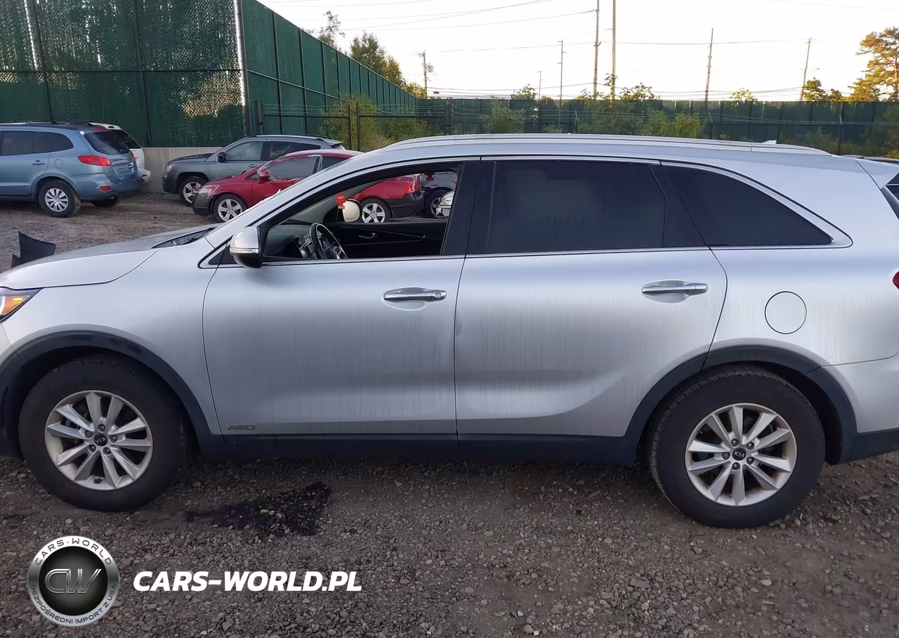 2019 Kia Sorento 2.4L Lx VIN:5XYPGDA3XKG552645 - 14