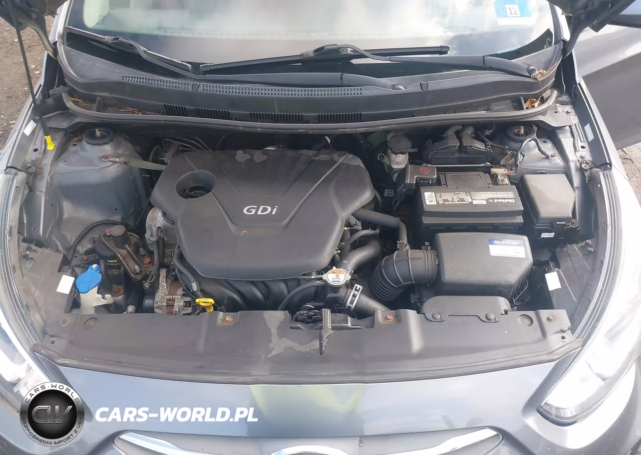 2016 Hyundai Accent Se VIN:KMHCT4AE0GU029146 - 10