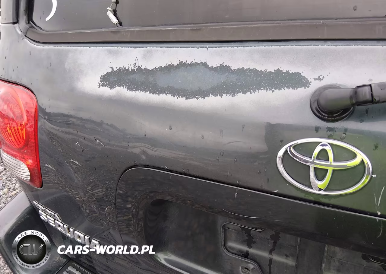 2007 Toyota Sequoia Limited V8 VIN:5TDZT38A17S286400 - 21