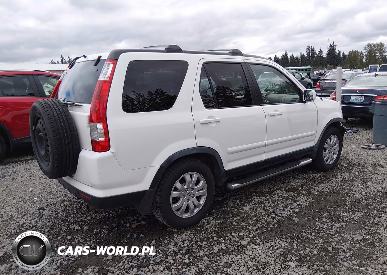 2006 Honda Cr-V Se VIN:JHLRD78976C045129 - 4
