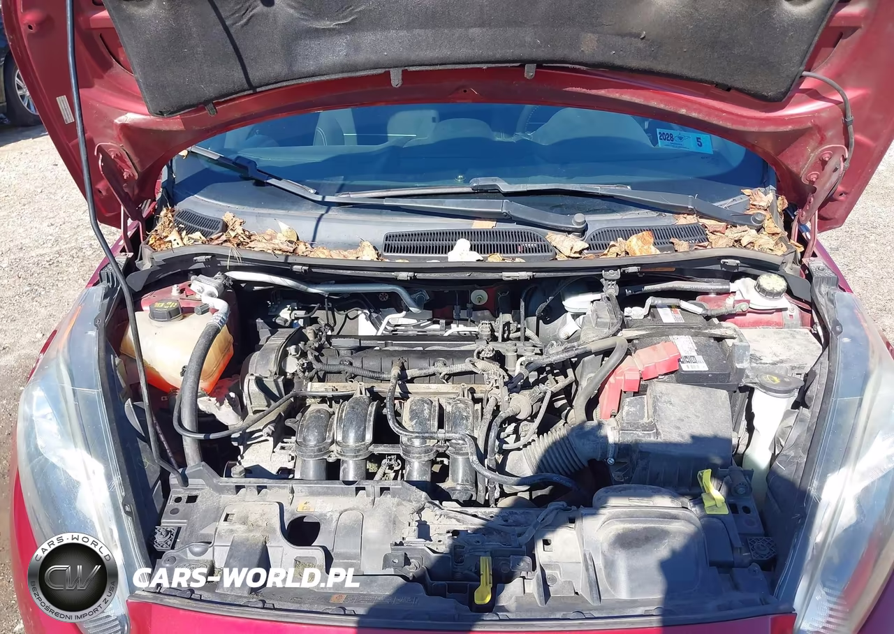 2014 Ford Fiesta Se VIN:3FADP4BJ4EM220018 - 10