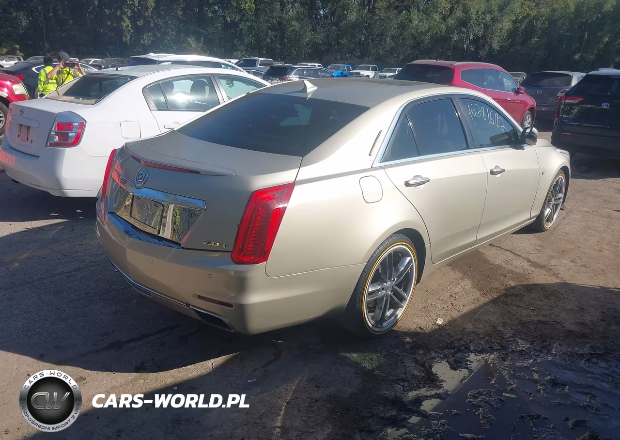 2014 Cadillac Cts Luxury VIN:1G6AX5SX1E0133108 - 4
