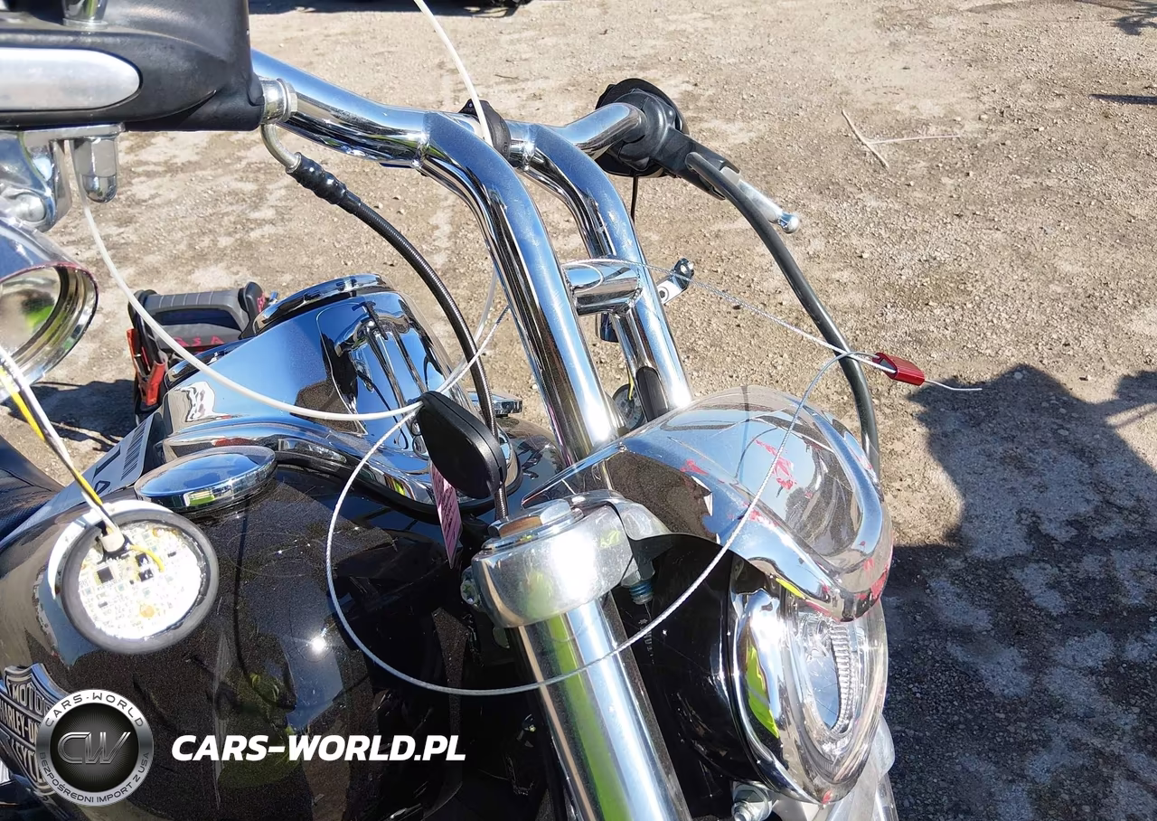 2018 Harley-Davidson Fxlr Low Rider VIN:1HD1YNJ13JC054800 - 11