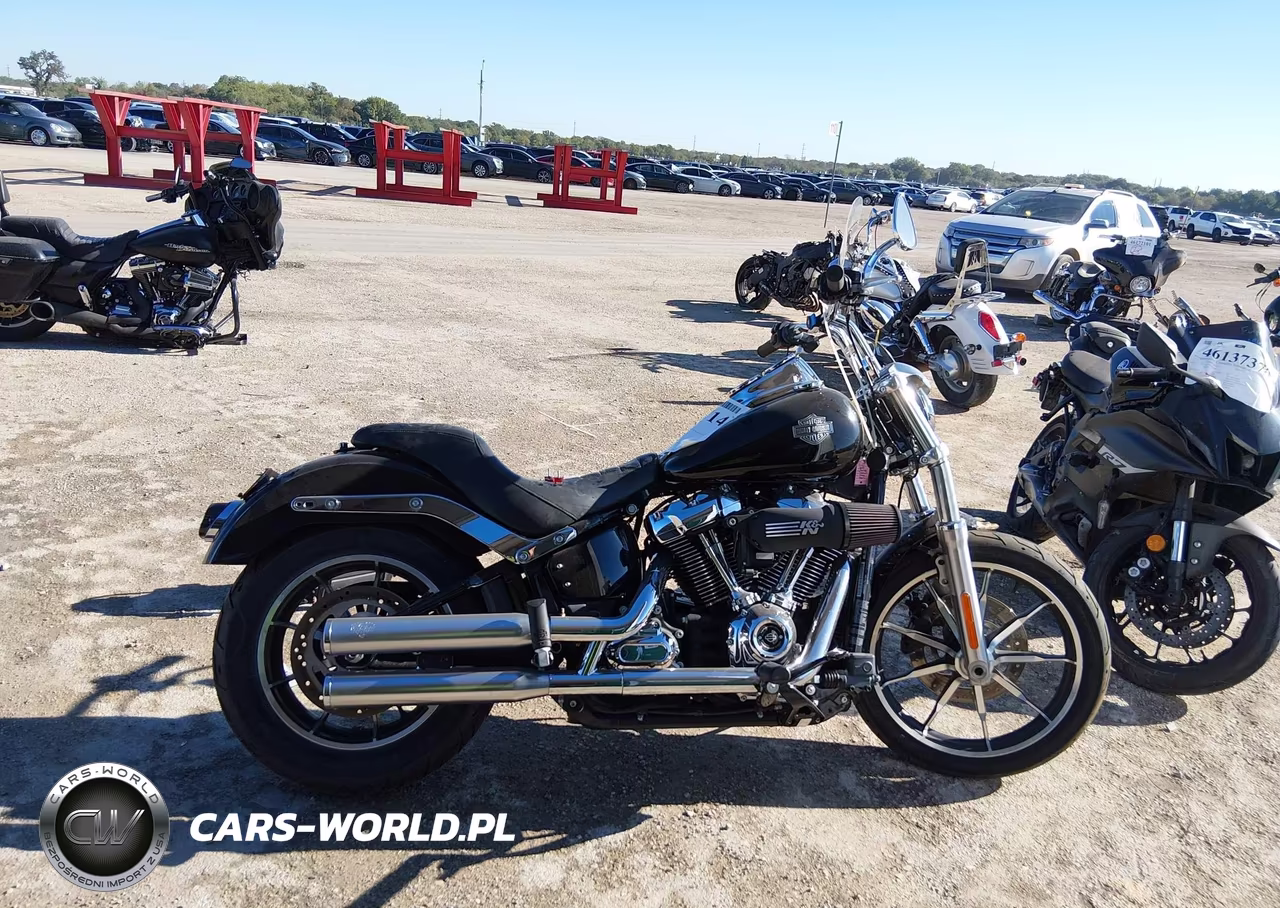 2018 Harley-Davidson Fxlr Low Rider VIN:1HD1YNJ13JC054800 - 12