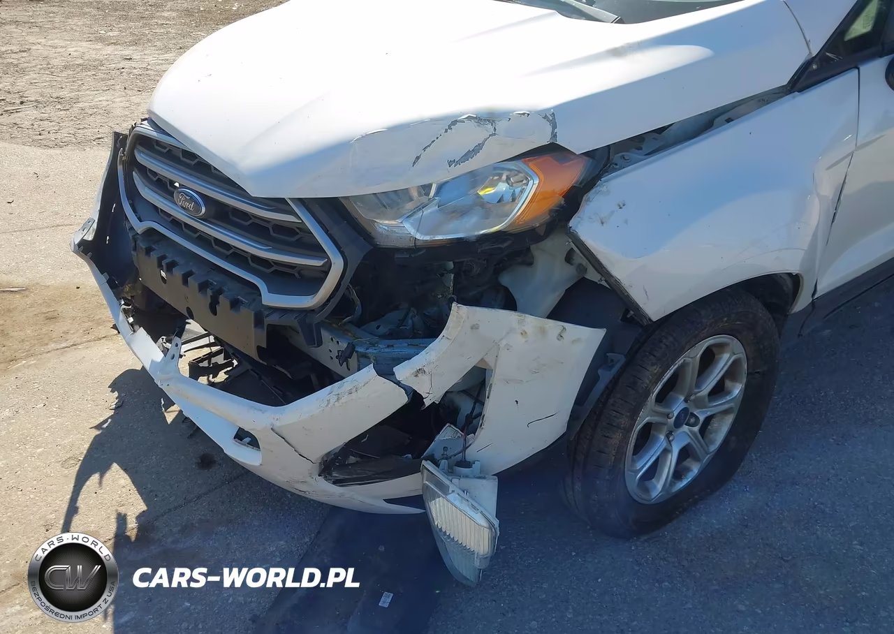 2019 Ford Ecosport Se VIN:MAJ6S3GL6KC280083 - 19