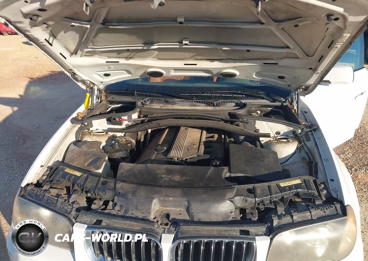 2006 BMW X3 3.0I VIN:WBXPA93496WG76182 - 10