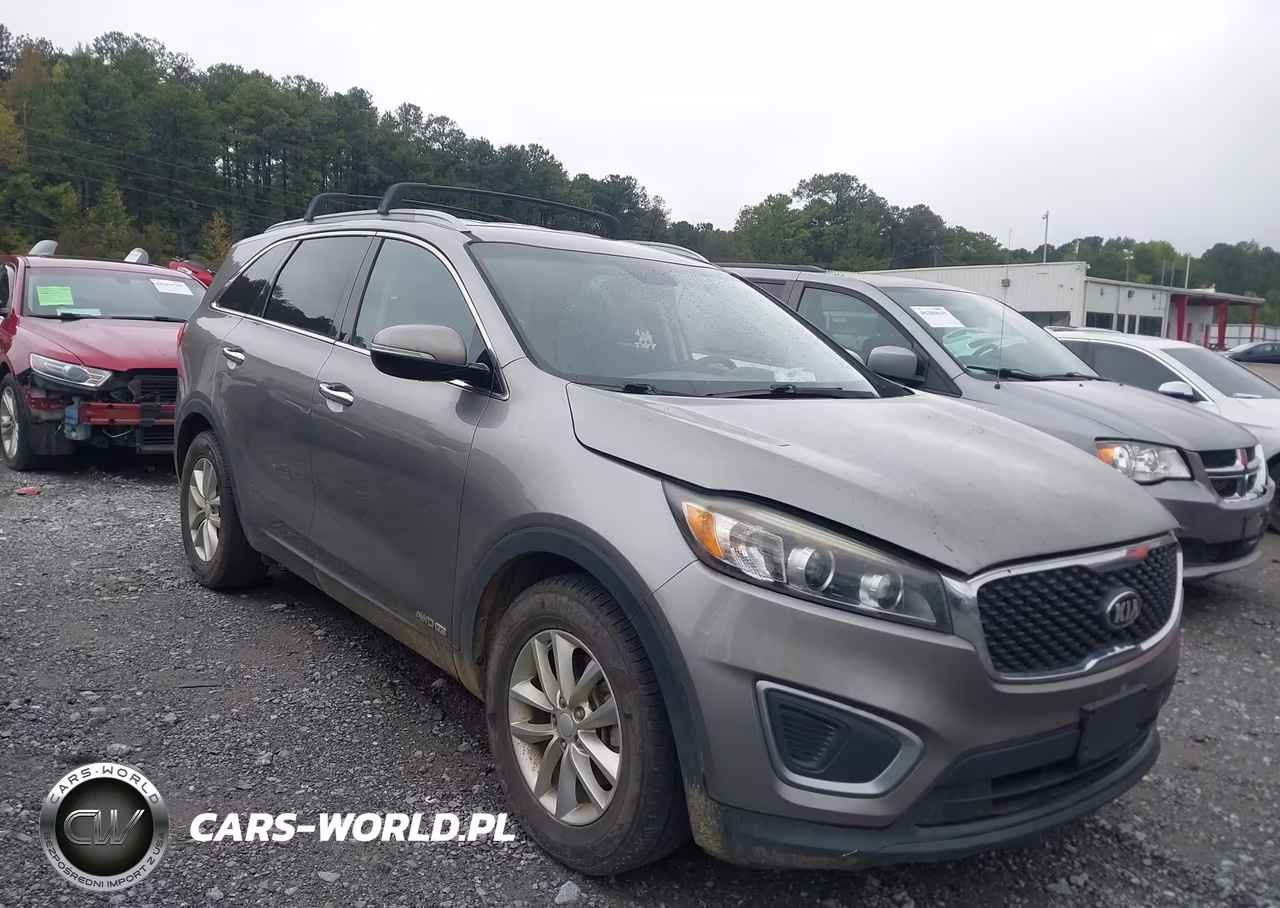 2016 Kia Sorento 3.3L Lx VIN:5XYPGDA5XGG078589 - 13