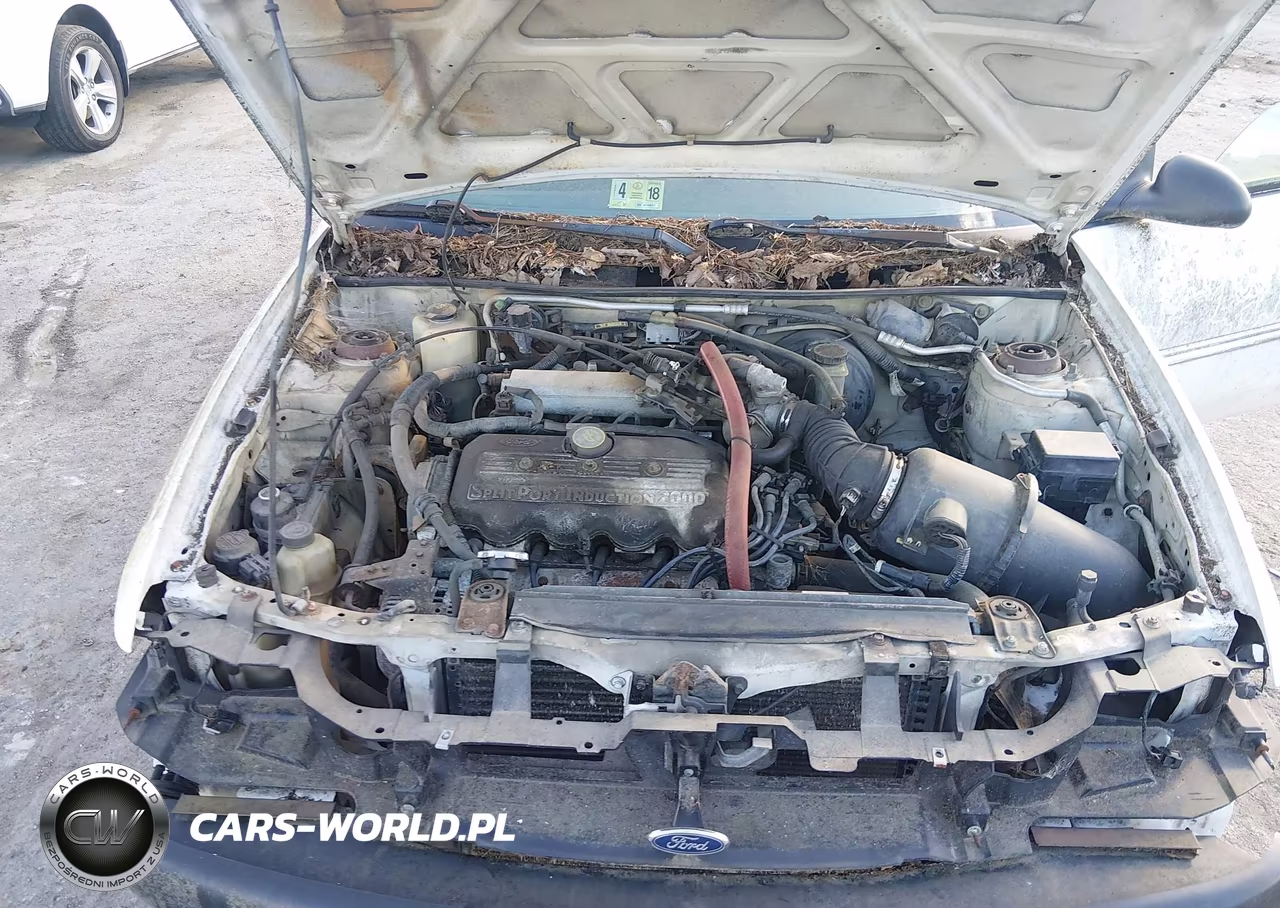 1998 Ford Escort Se VIN:1FAFP15P1WW243040 - 10