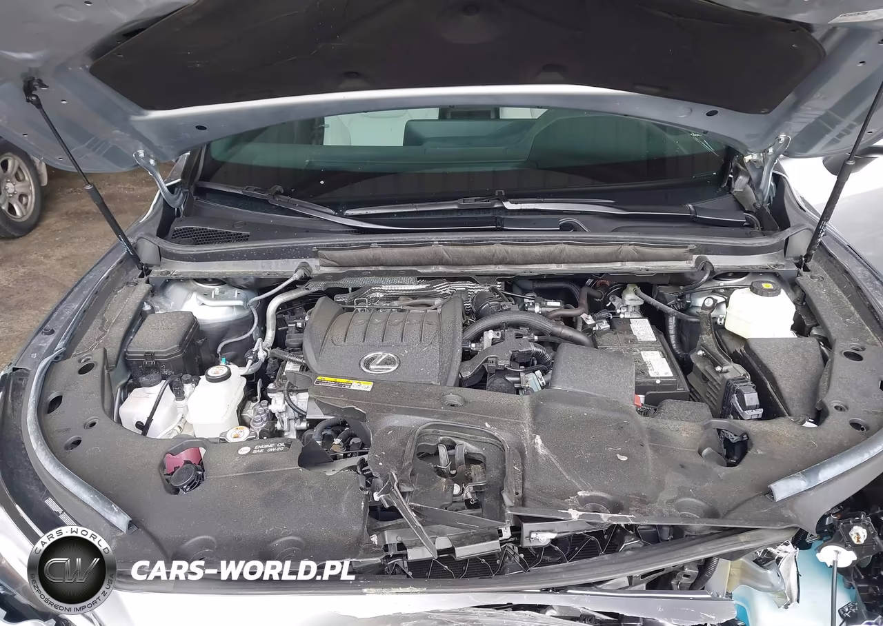 2024 Lexus Rx 350 Premium VIN:2T2BAMBA5RC041368 - 10