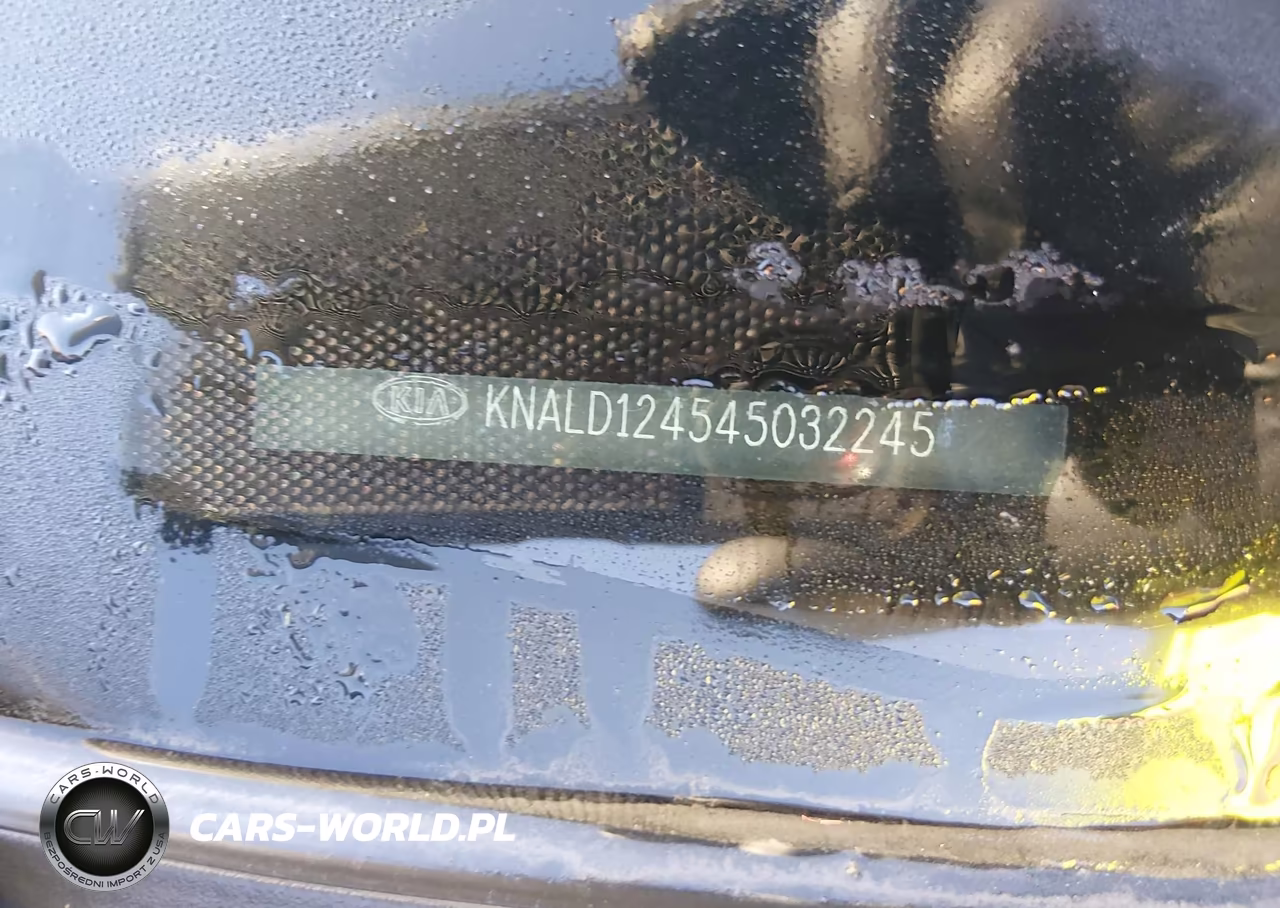 2004 Kia Amanti VIN:KNALD124545032245 - 11