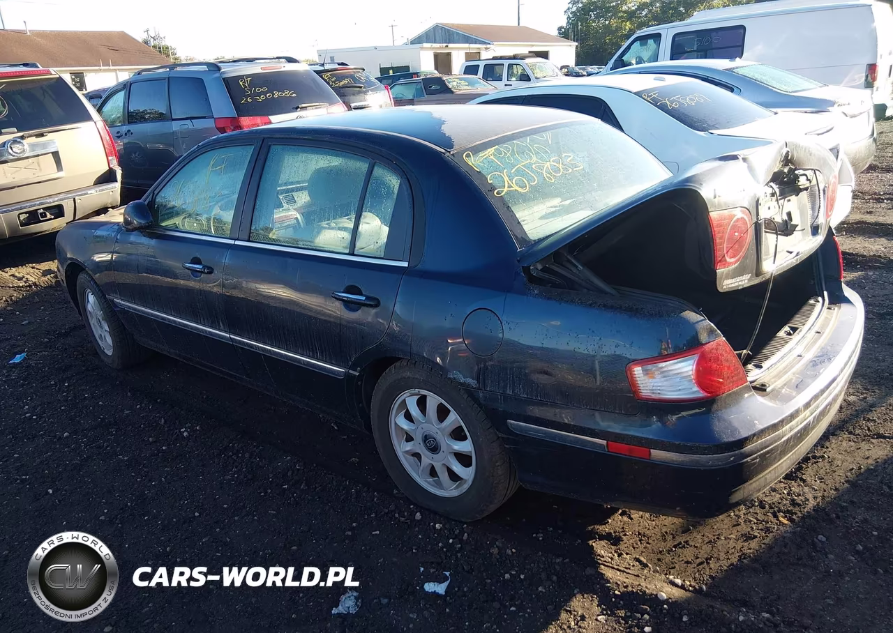2004 Kia Amanti VIN:KNALD124545032245 - 3