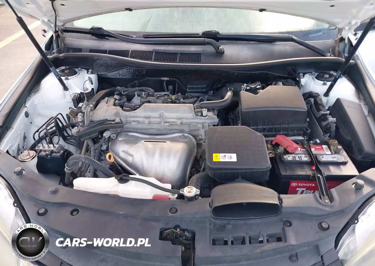 2017 Toyota Camry Se VIN:4T1BF1FK7HU722278 - 10