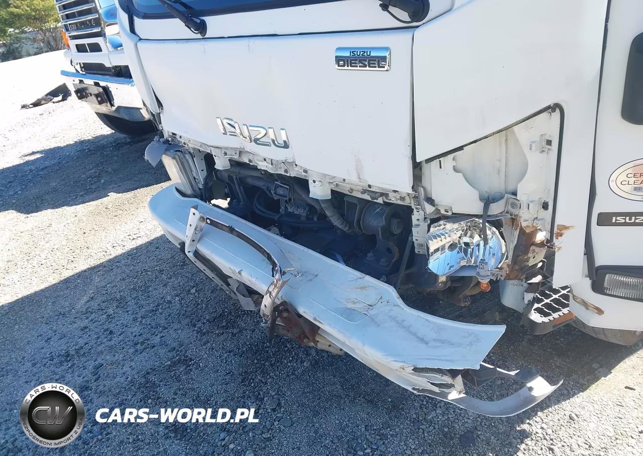 2013 Isuzu Dsl Reg VIN:JALE5W163D7900836 - 11