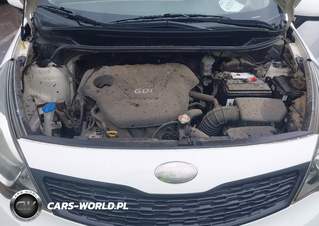 2013 Kia Rio Lx VIN:KNADM4A32D6141111 - 10