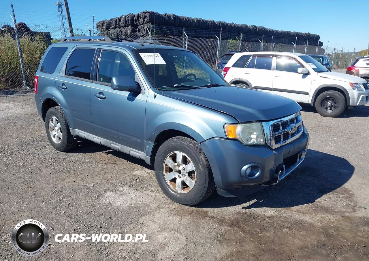 2010 Ford Escape Limited