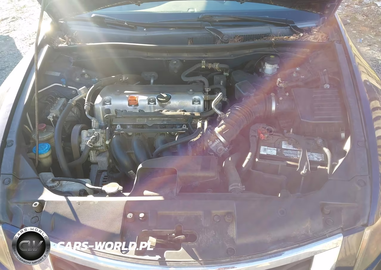 2009 Honda Accord 2.4 Lx VIN:1HGCP26379A009518 - 10