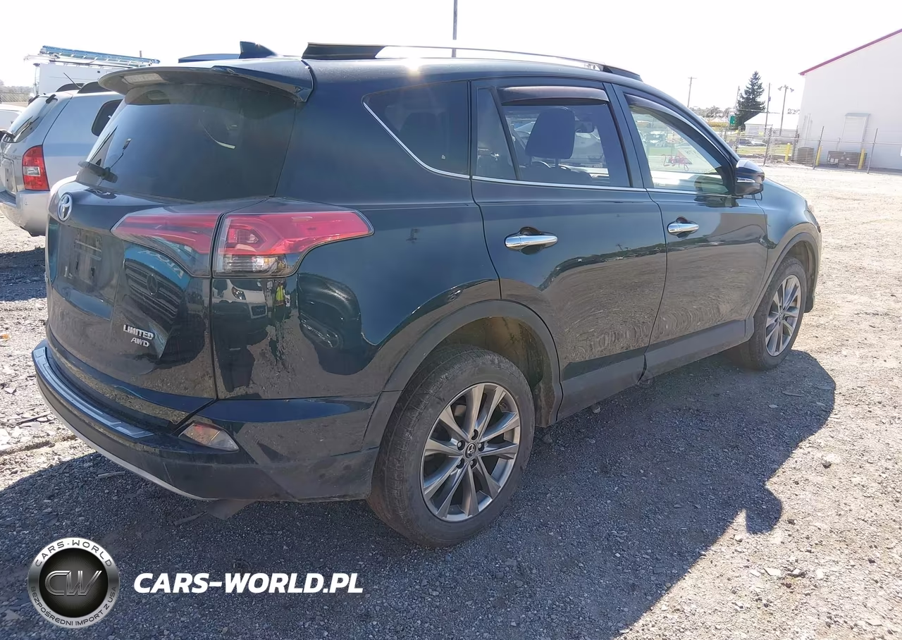 2018 Toyota Rav4 Limited VIN:JTMDFREV9JD256575 - 4