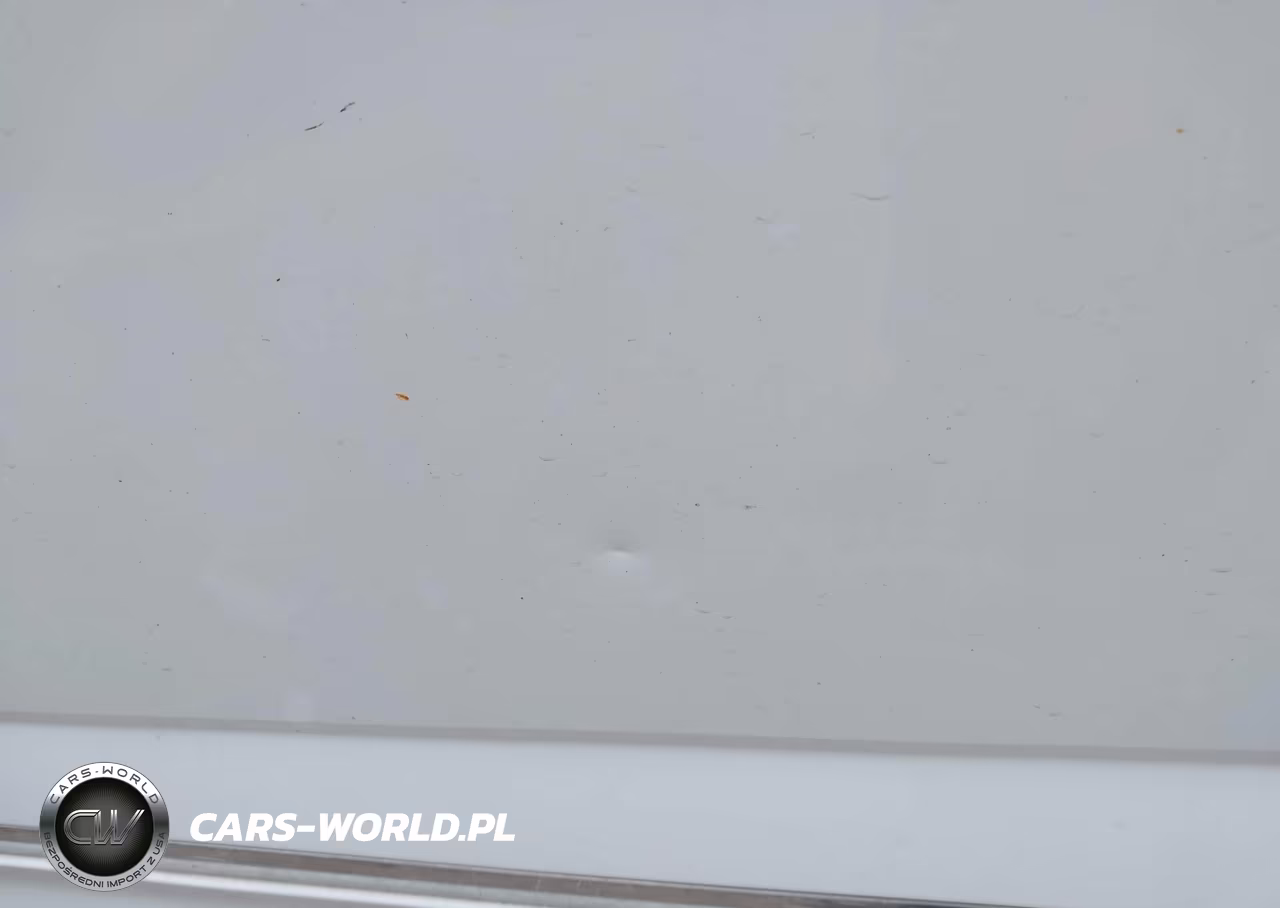 2018 Volkswagen Atlas 3.6L V6 Sel VIN:1V2RR2CA5JC590109 - 21