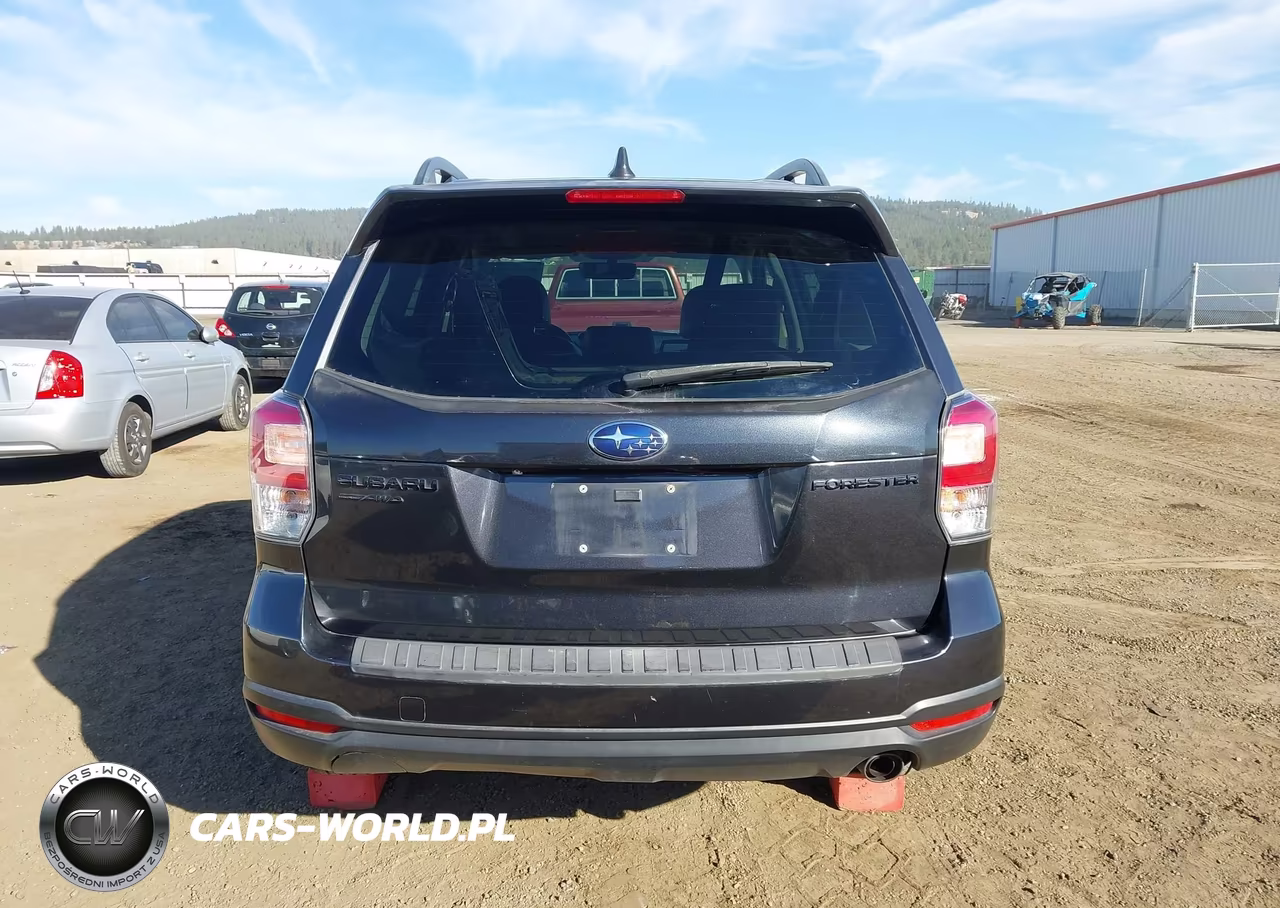 2018 Subaru Forester 2.5I Premium VIN:JF2SJAEC5JH497758 - 17