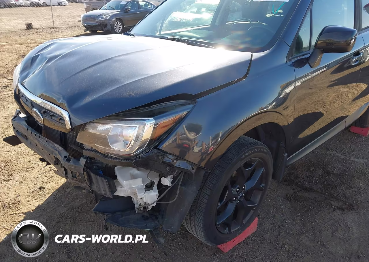 2018 Subaru Forester 2.5I Premium VIN:JF2SJAEC5JH497758 - 19