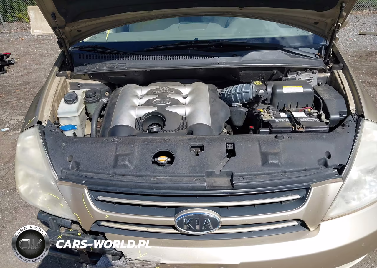 2006 Kia Sedona Ex-Lx VIN:KNDMB233766087236 - 10