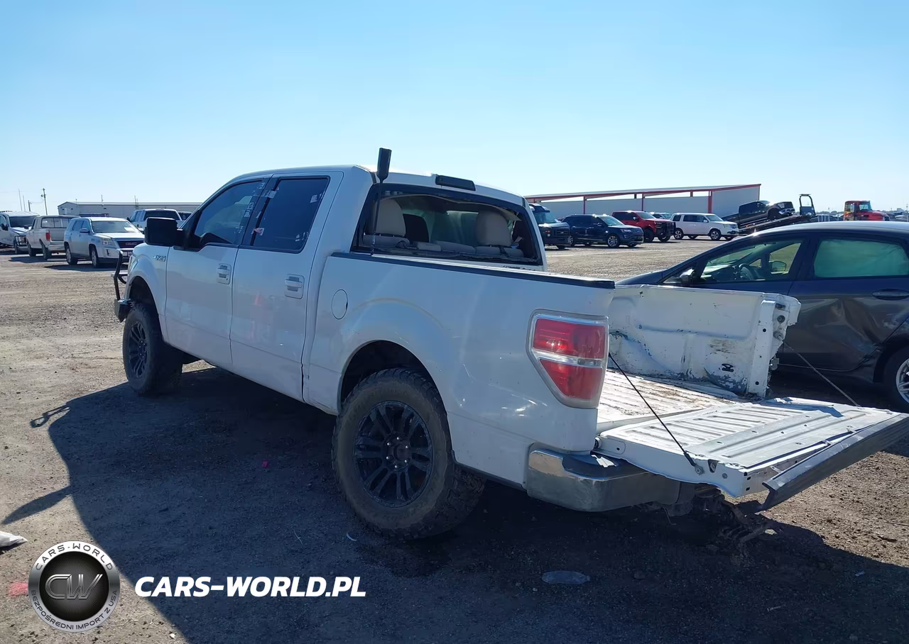 2010 Ford F-150 Xl-Xlt VIN:1FTEW1E89AKE54472 - 3