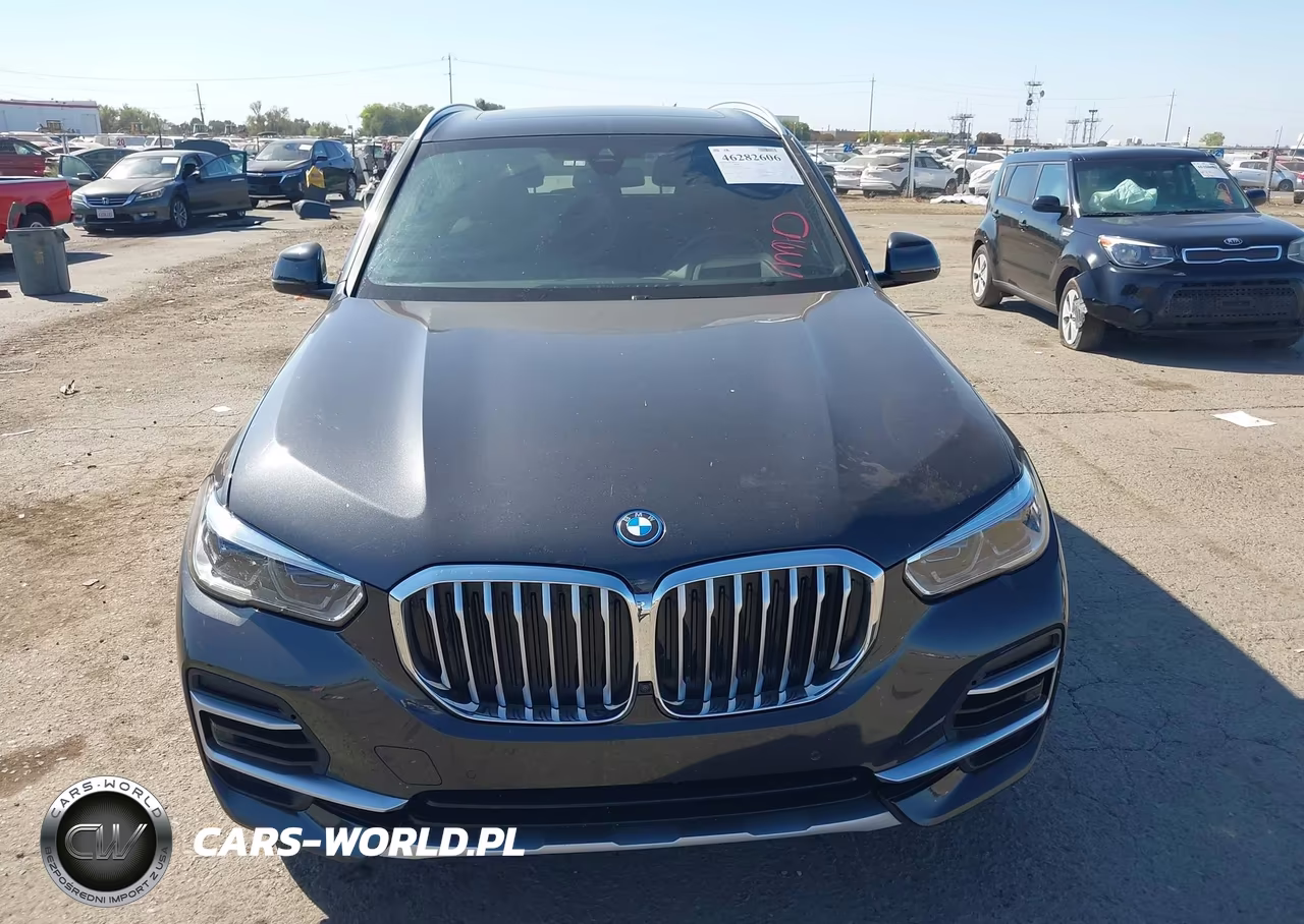 2023 BMW X5 Phev xDrive45E VIN:5UXTA6C04P9R36507 - 12