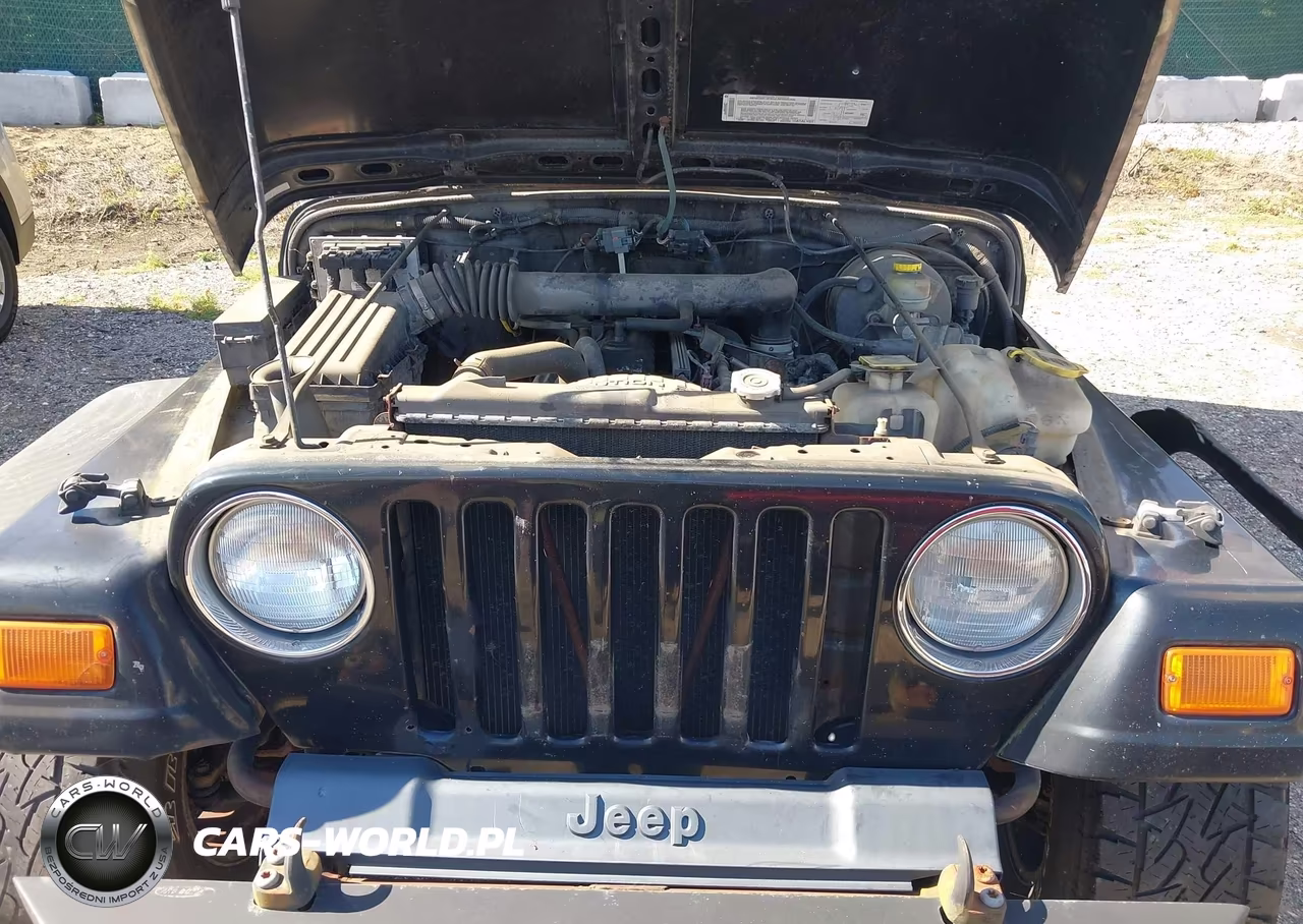 2003 Jeep Wrangler X VIN:1J4FA39S63P319244 - 10