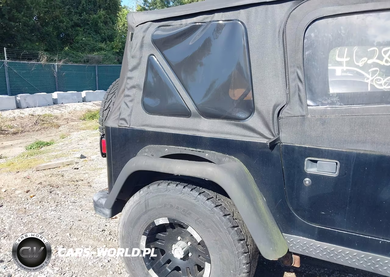 2003 Jeep Wrangler X VIN:1J4FA39S63P319244 - 13