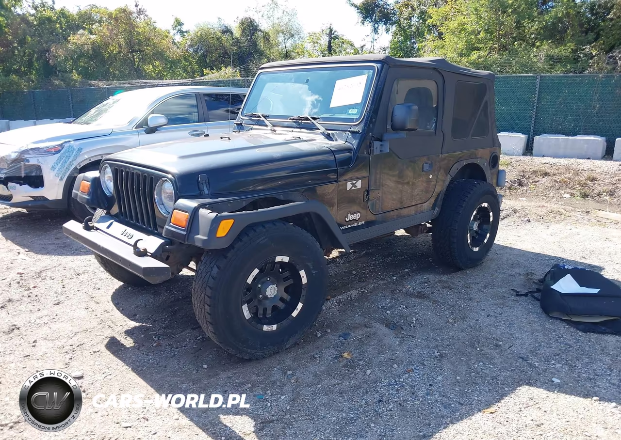 2003 Jeep Wrangler X VIN:1J4FA39S63P319244 - 2