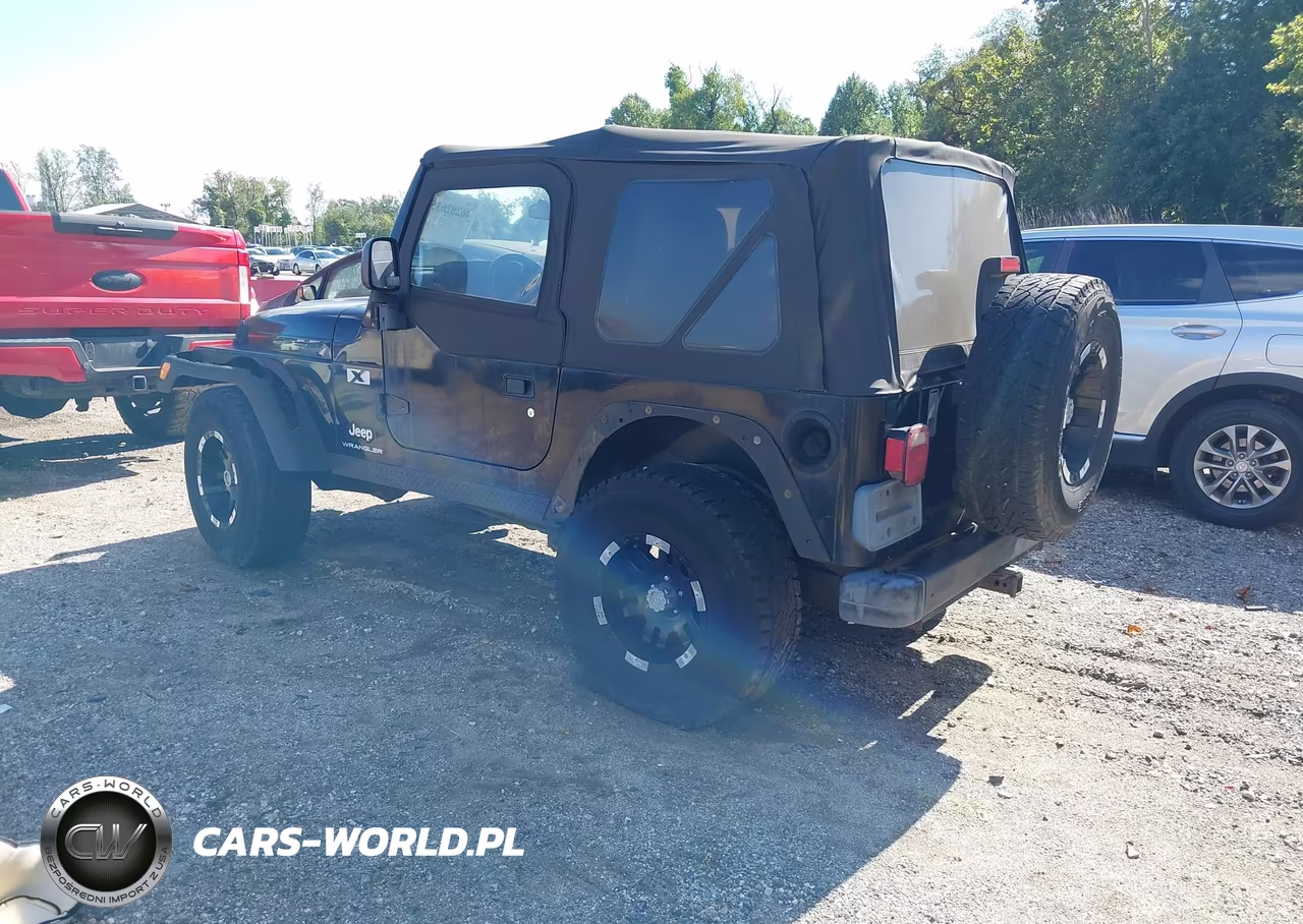 2003 Jeep Wrangler X VIN:1J4FA39S63P319244 - 3