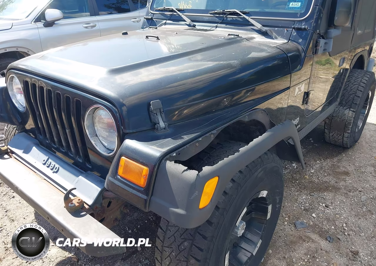 2003 Jeep Wrangler X VIN:1J4FA39S63P319244 - 6
