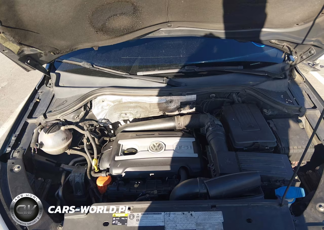 2014 Volkswagen Tiguan S VIN:WVGBV3AX6EW625154 - 10