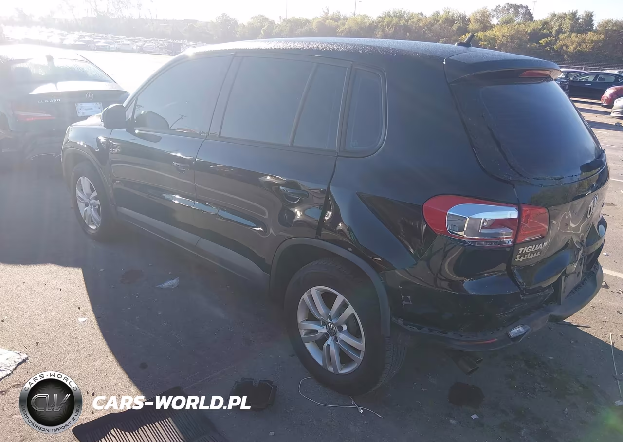 2014 Volkswagen Tiguan S VIN:WVGBV3AX6EW625154 - 3
