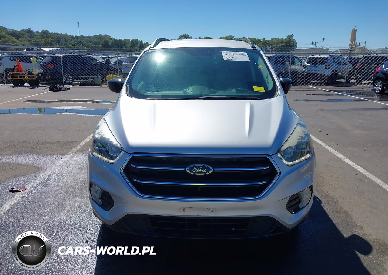 2019 Ford Escape Se VIN:1FMCU9GD1KUB09816 - 12