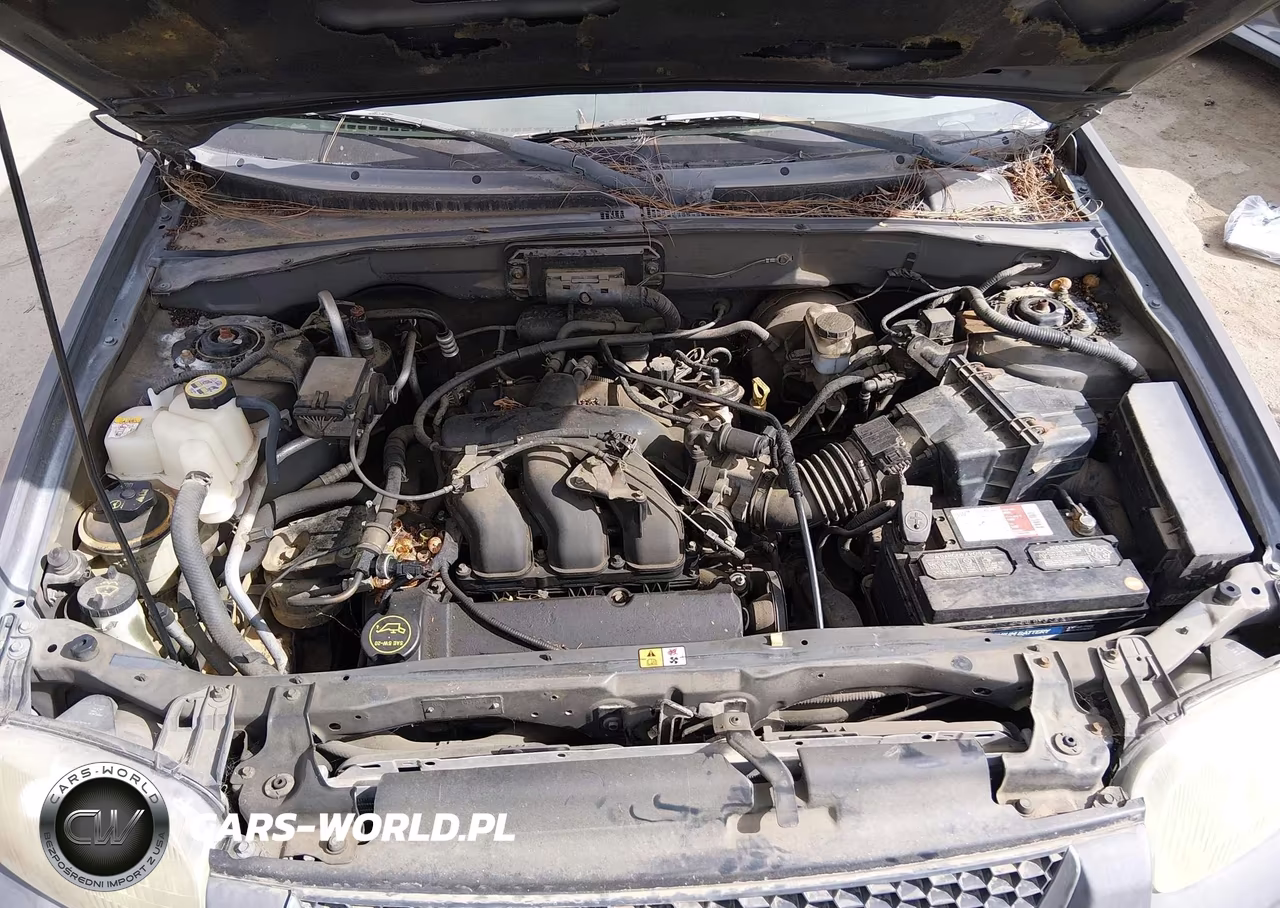 2003 Ford Escape Xlt VIN:1FMYU03173KB89259 - 10