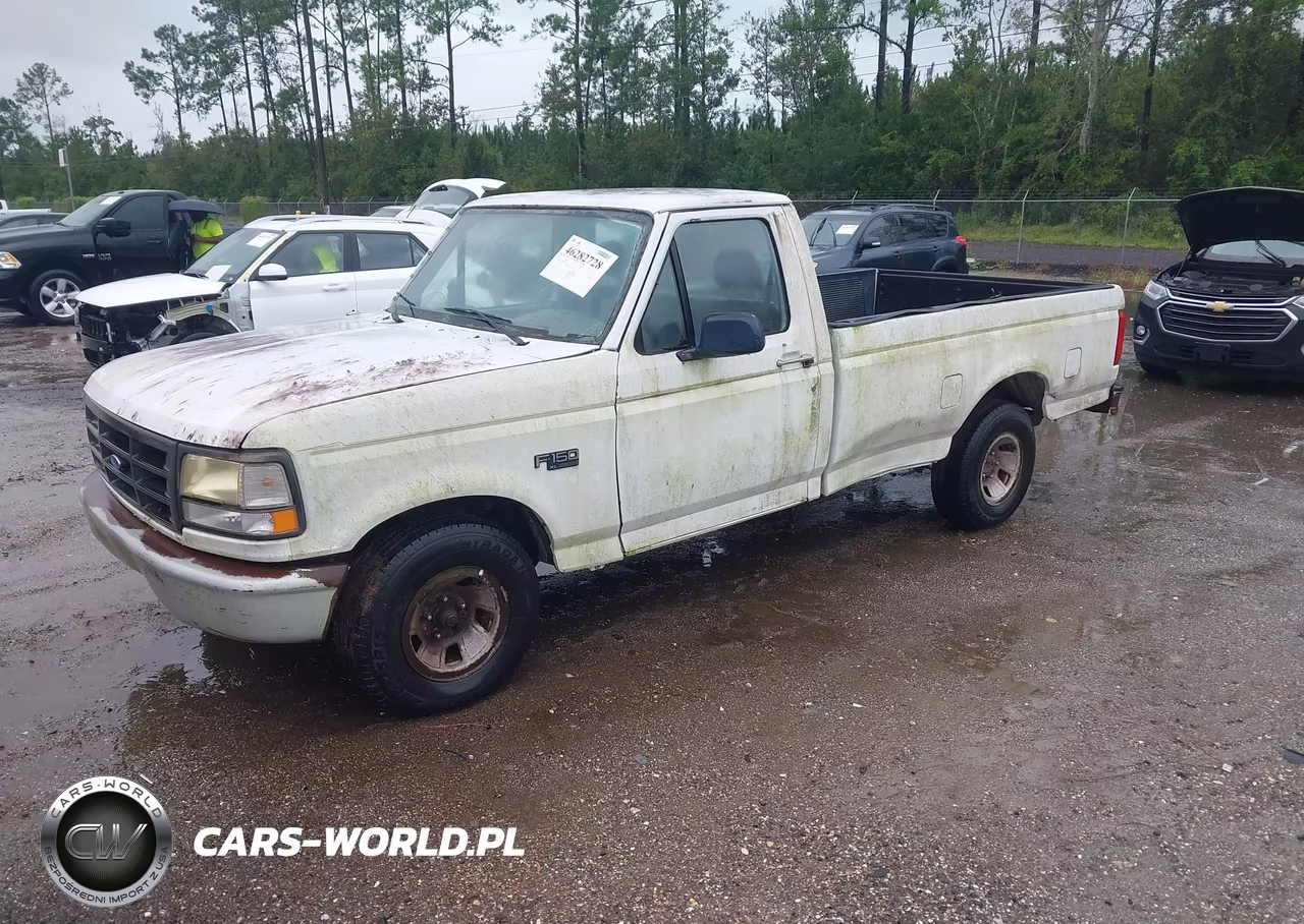 1995 Ford F150 VIN:1FTEF15Y5SNA51640 - 2