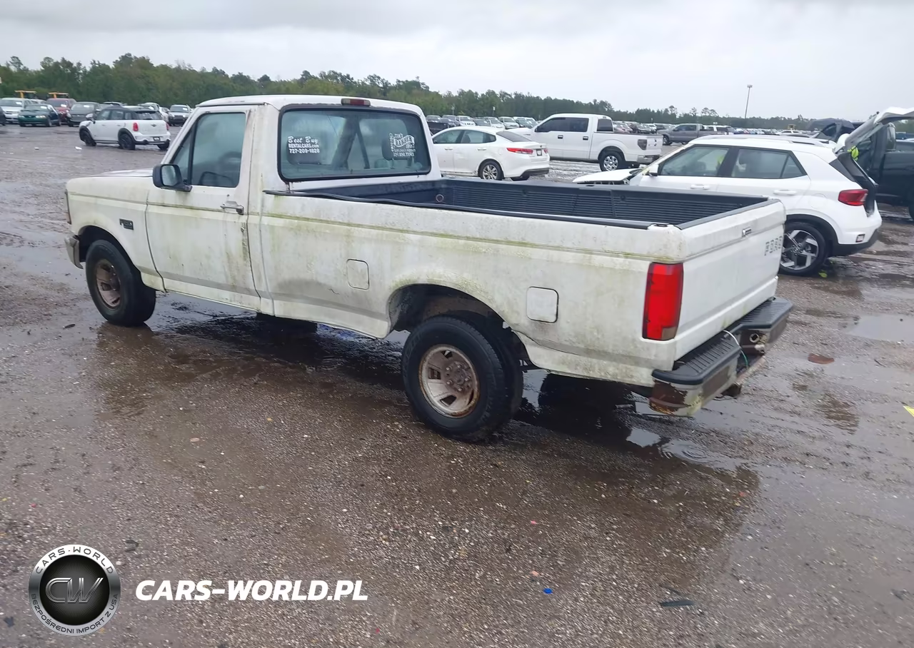 1995 Ford F150 VIN:1FTEF15Y5SNA51640 - 3