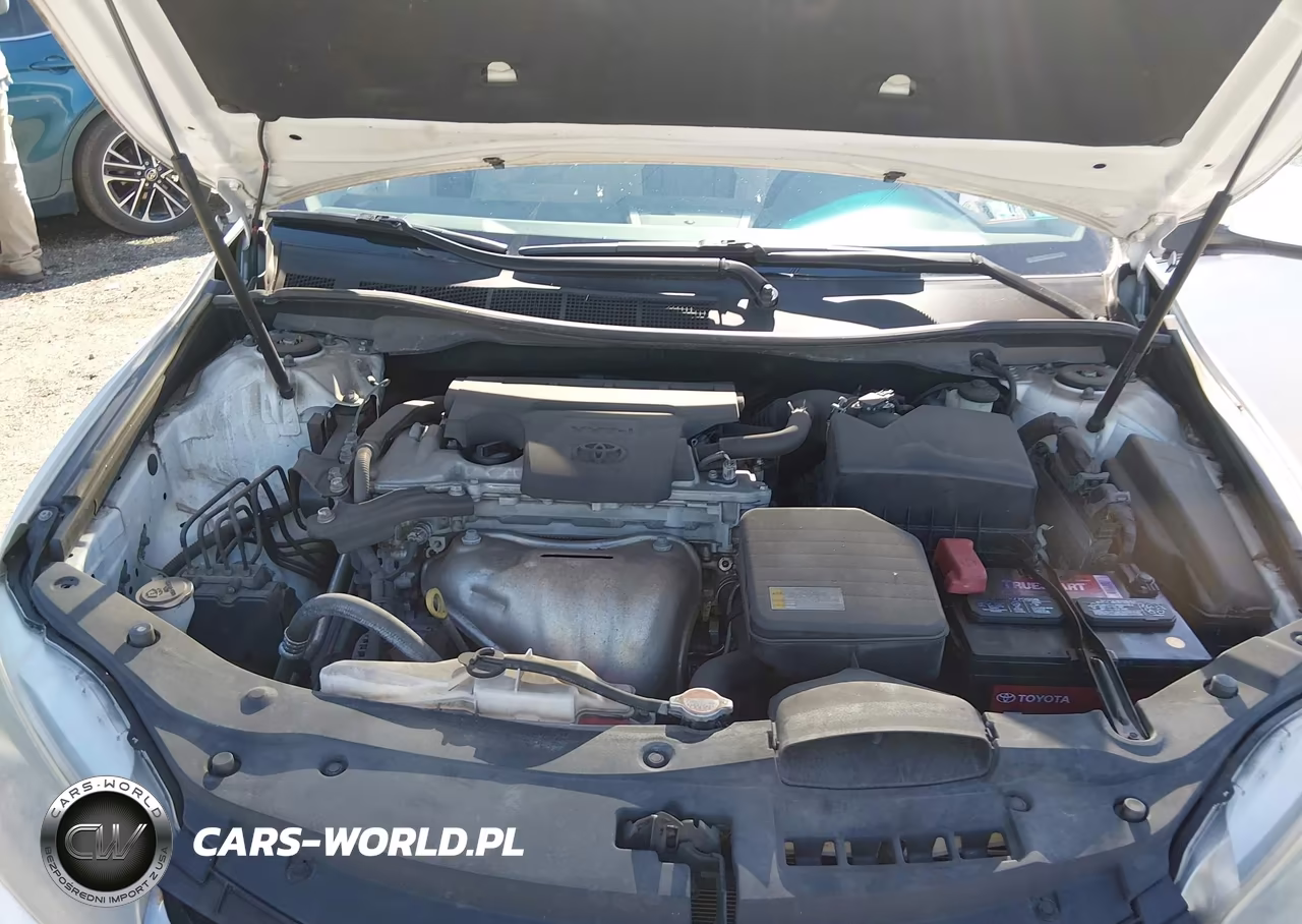 2016 Toyota Camry Xse VIN:4T1BF1FK2GU543497 - 10