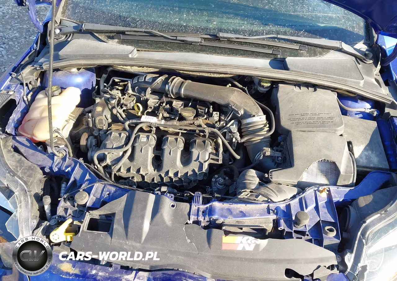 2013 Ford Focus St VIN:1FADP3L99DL335549 - 10