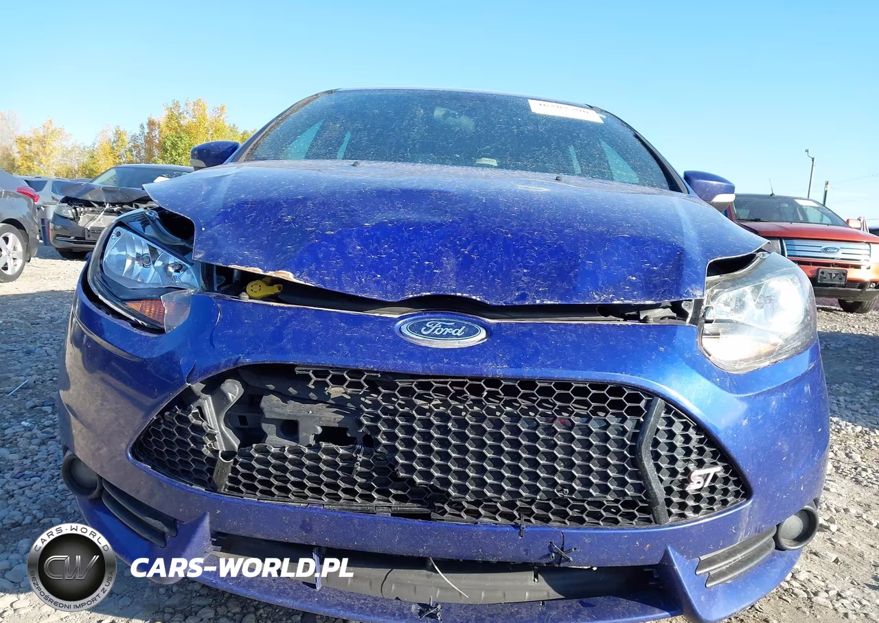 2013 Ford Focus St VIN:1FADP3L99DL335549 - 12