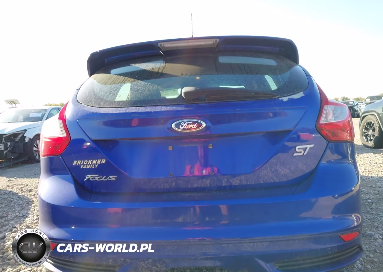 2013 Ford Focus St VIN:1FADP3L99DL335549 - 16