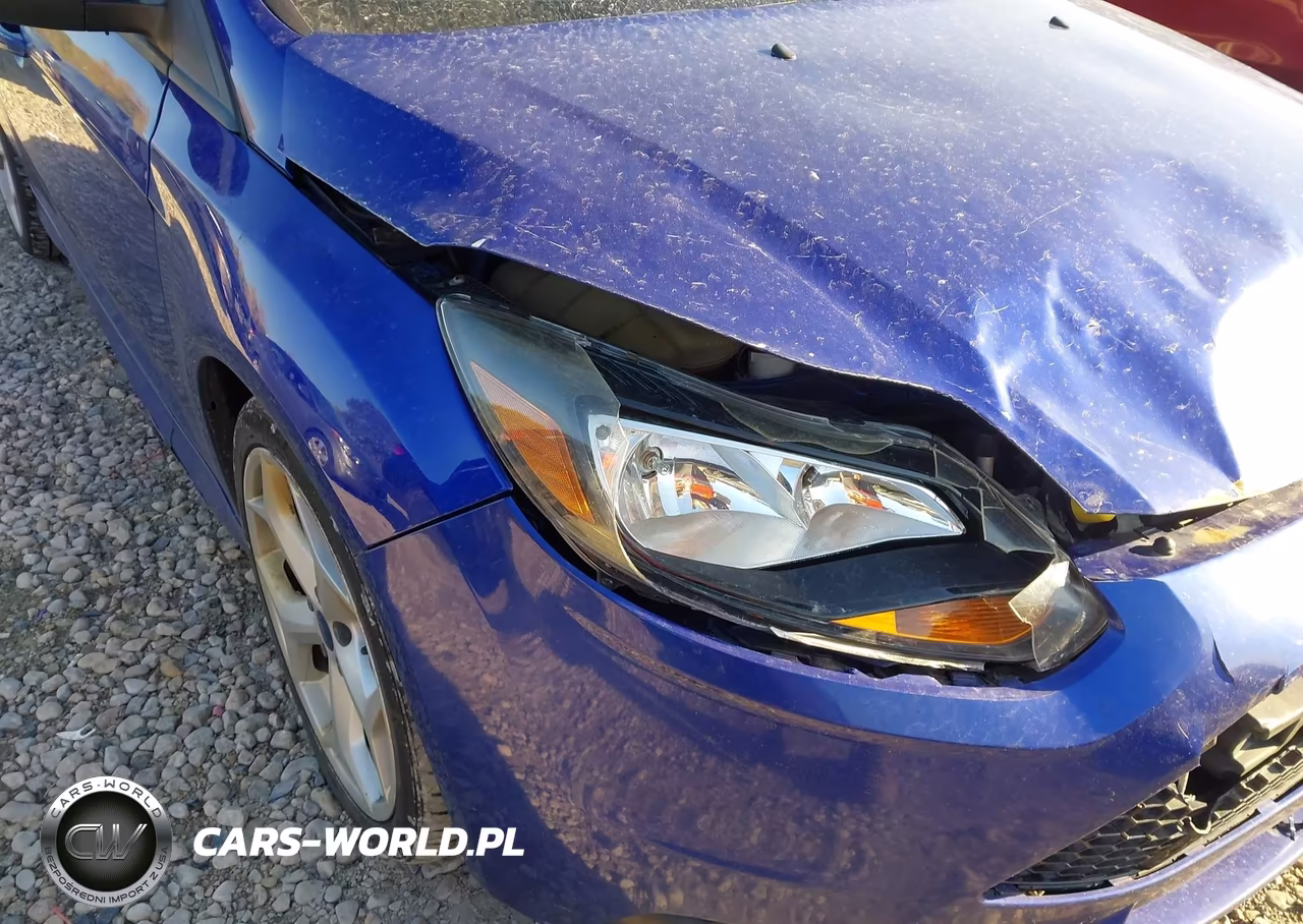 2013 Ford Focus St VIN:1FADP3L99DL335549 - 6