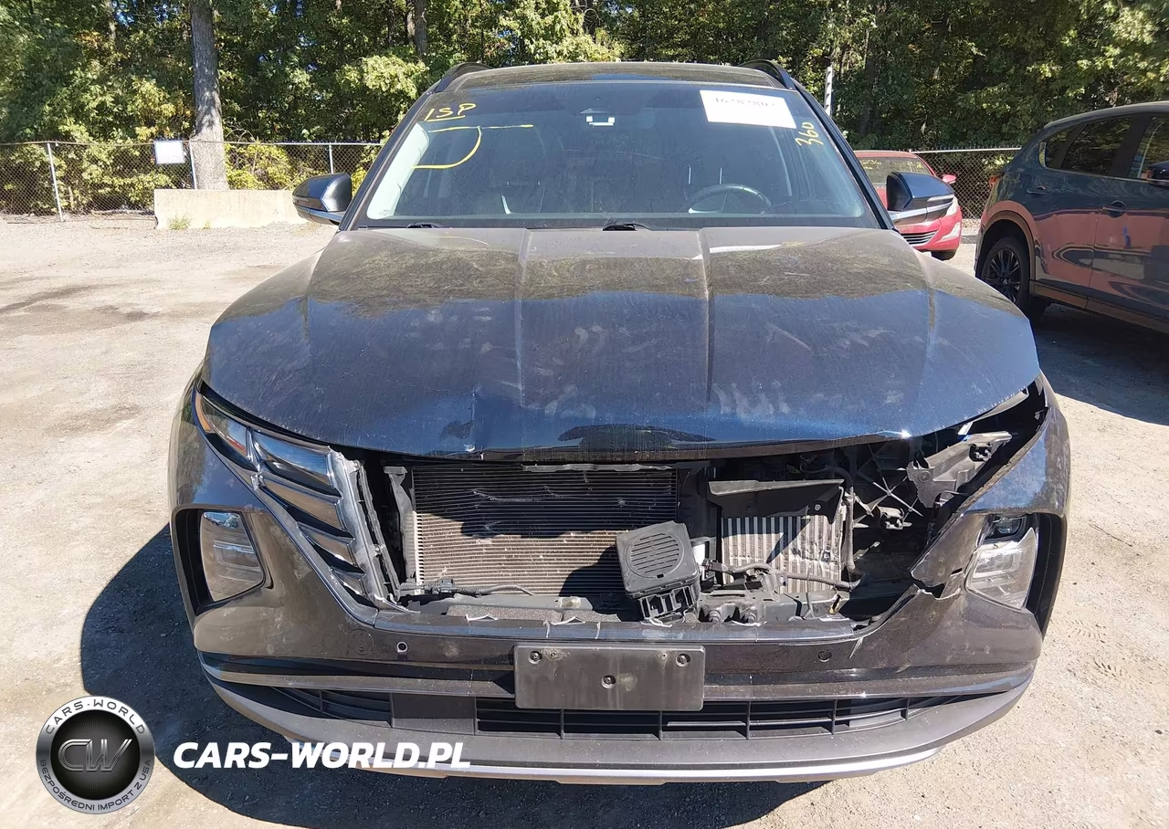 2024 Hyundai Tucson Hybrid Limited VIN:KM8JECD13RU155864 - 12