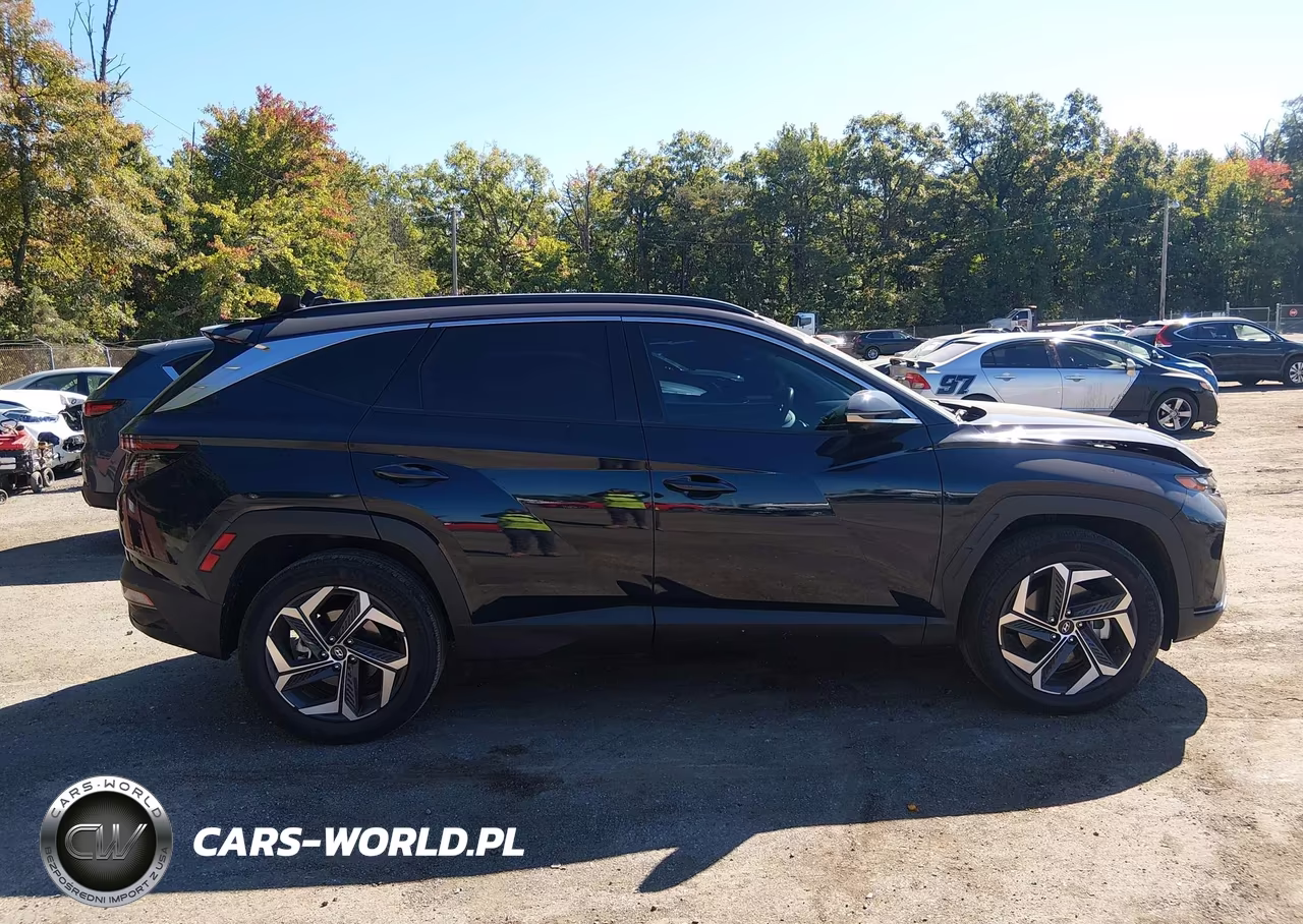 2024 Hyundai Tucson Hybrid Limited VIN:KM8JECD13RU155864 - 13