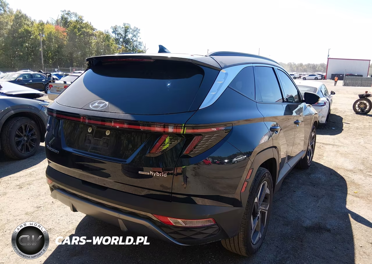 2024 Hyundai Tucson Hybrid Limited VIN:KM8JECD13RU155864 - 4