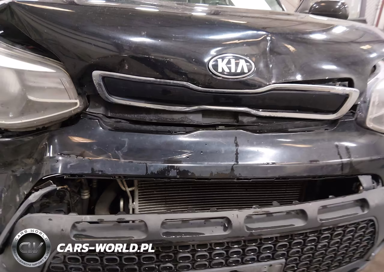 2015 Kia Soul VIN:KNDJN2A24F7212126 - 20