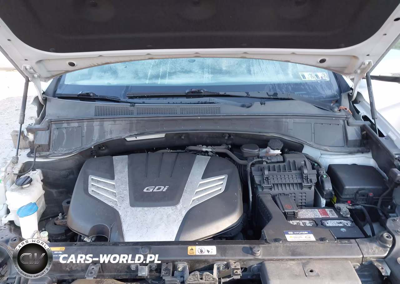 2017 Hyundai Santa Fe Se Ultimate VIN:KM8SRDHF0HU248263 - 10